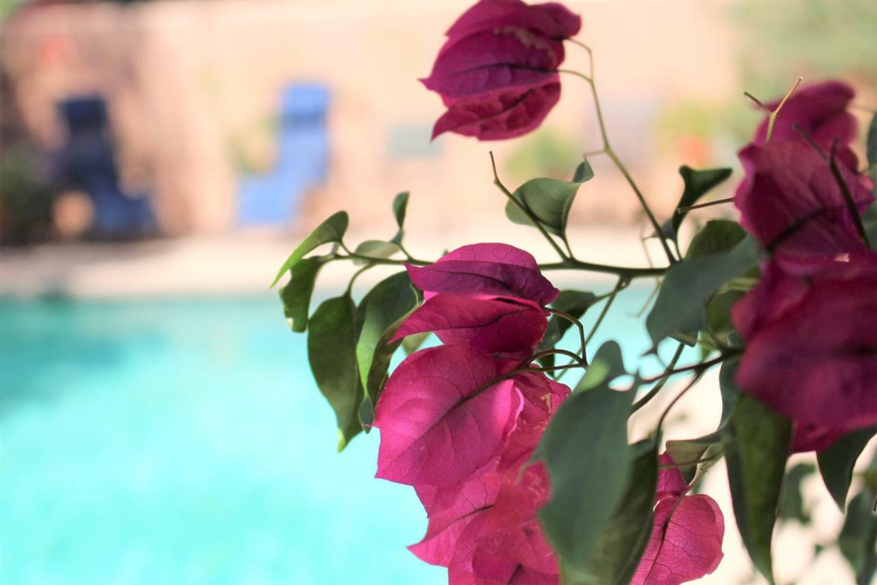 Adobe Rose Inn Tucson Esterno foto