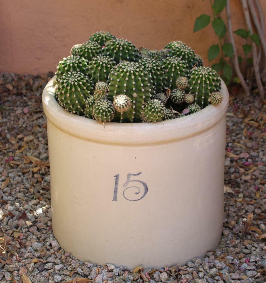 Adobe Rose Inn Tucson Esterno foto